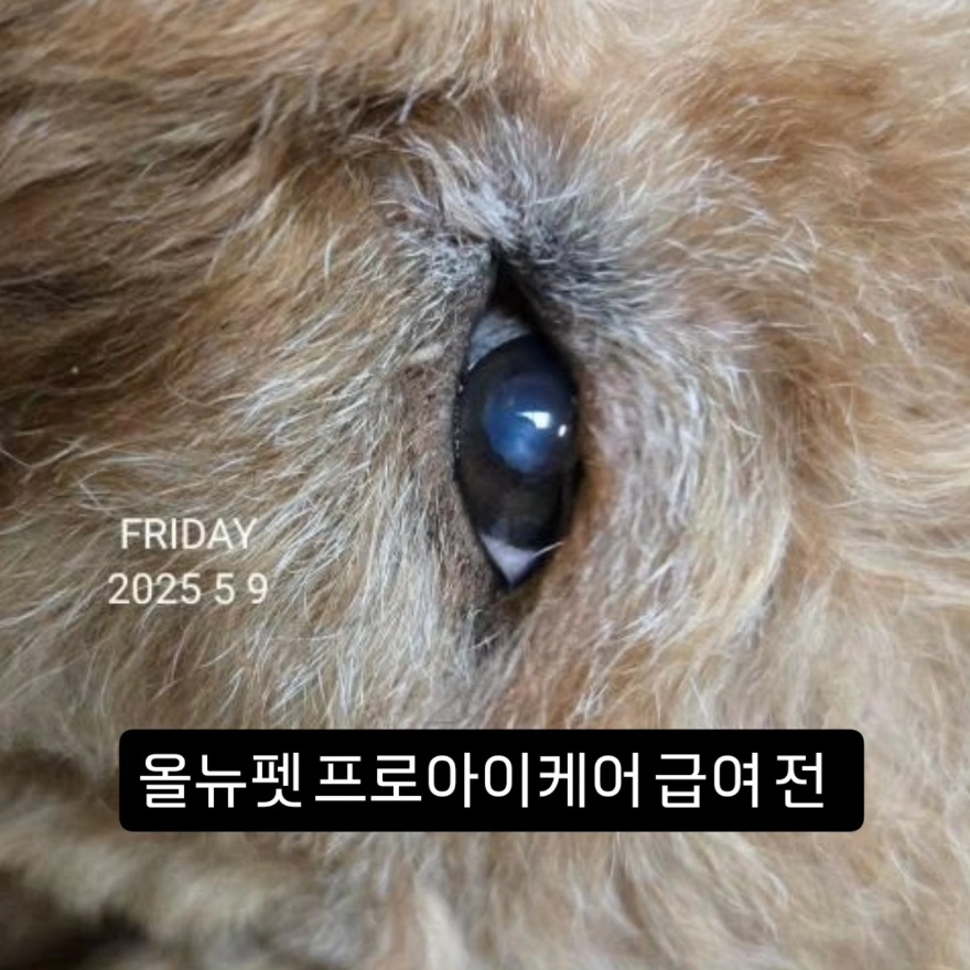 20250724122101_ykmdlepm.jpg
