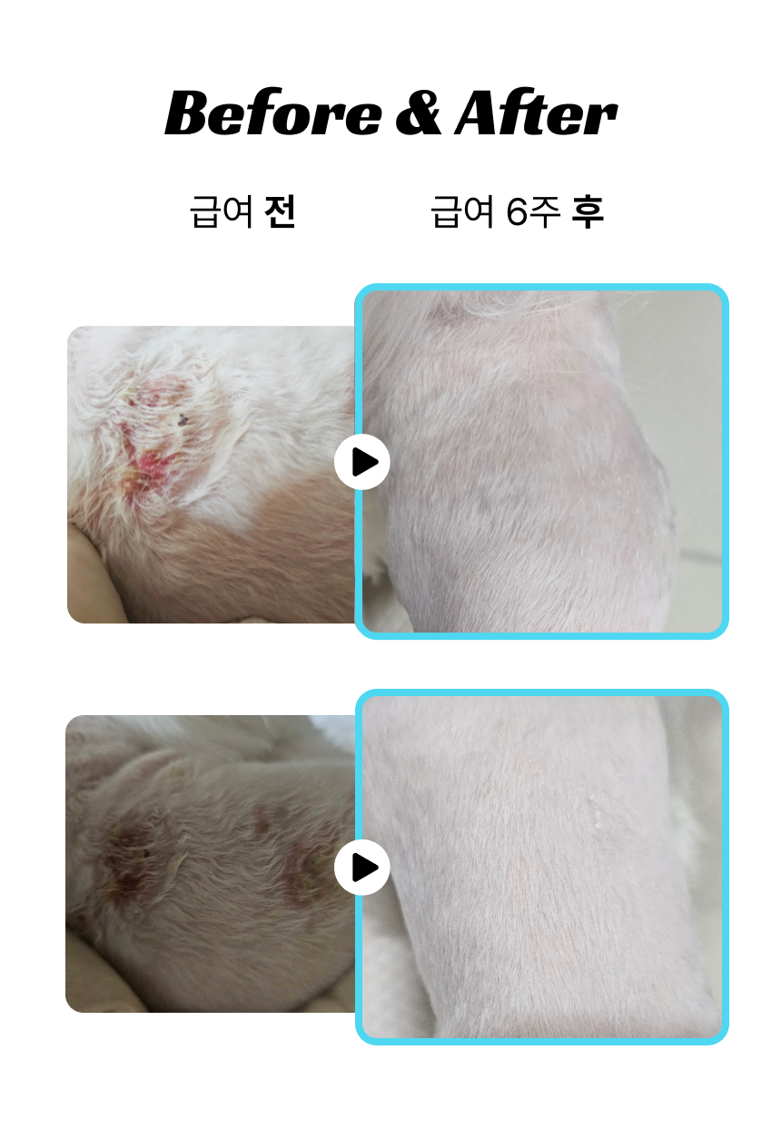 연아.png