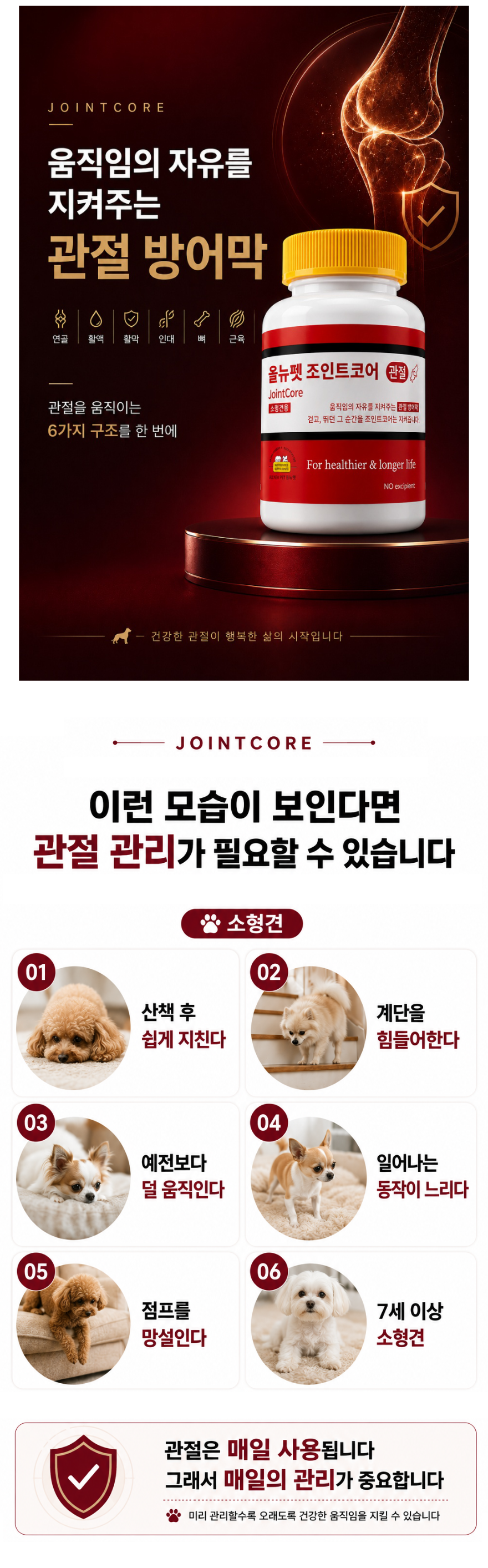 강아지관절 1.png