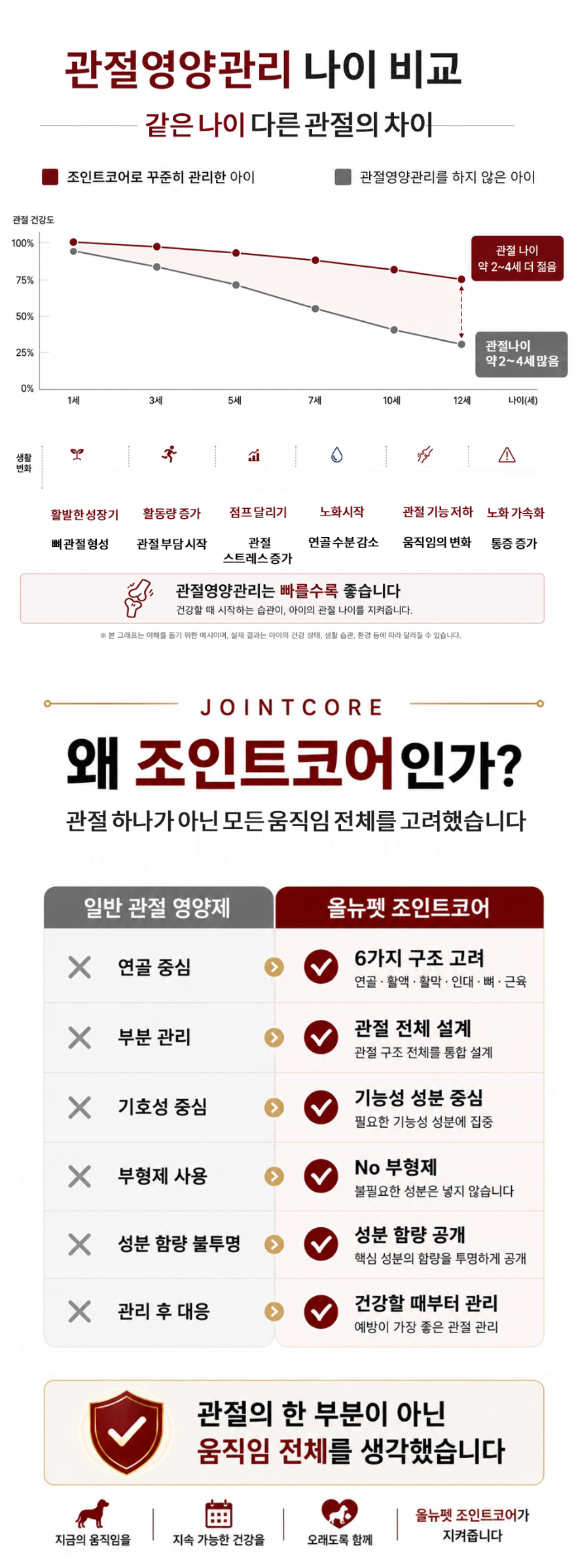 강아지관절 2.png