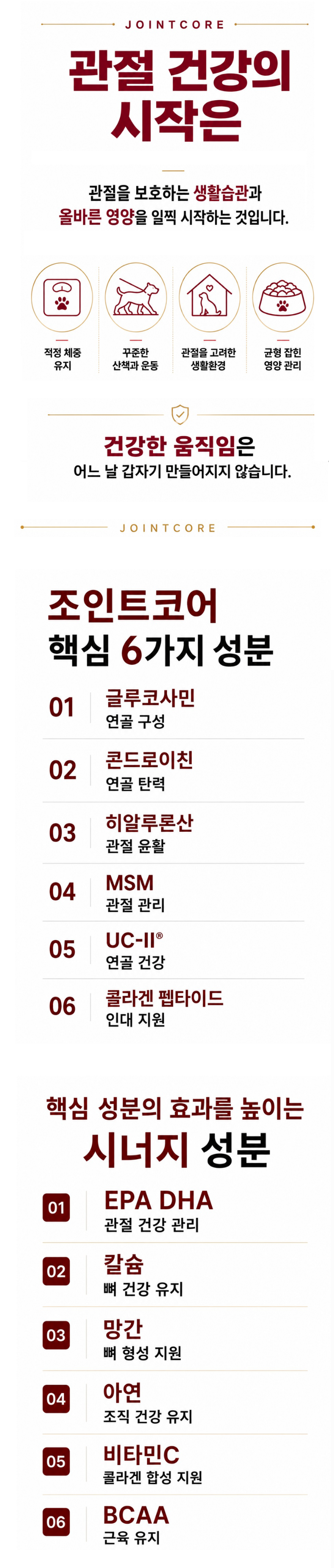 강아지관절 5.png