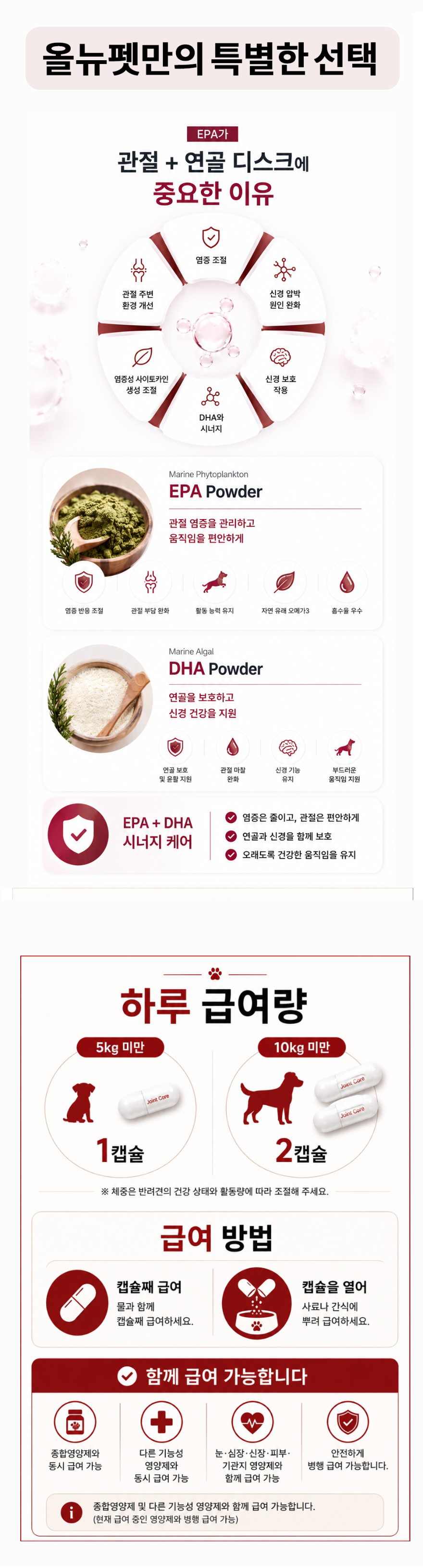 강아지관절 7.png