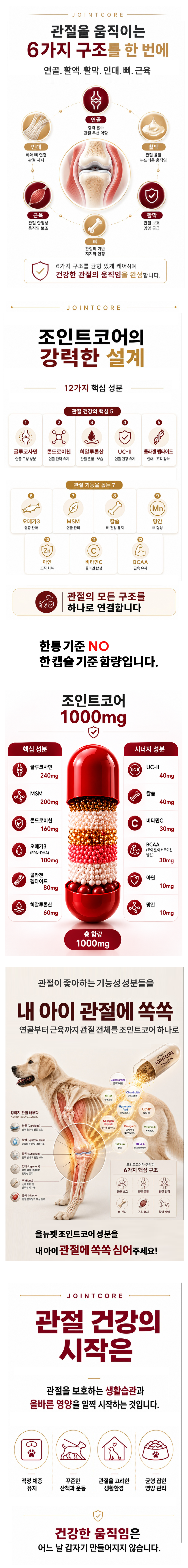 대형견 관절2.png