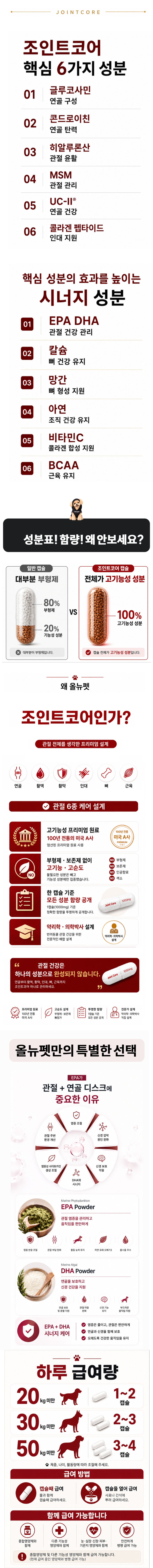 대형견 관절3].png