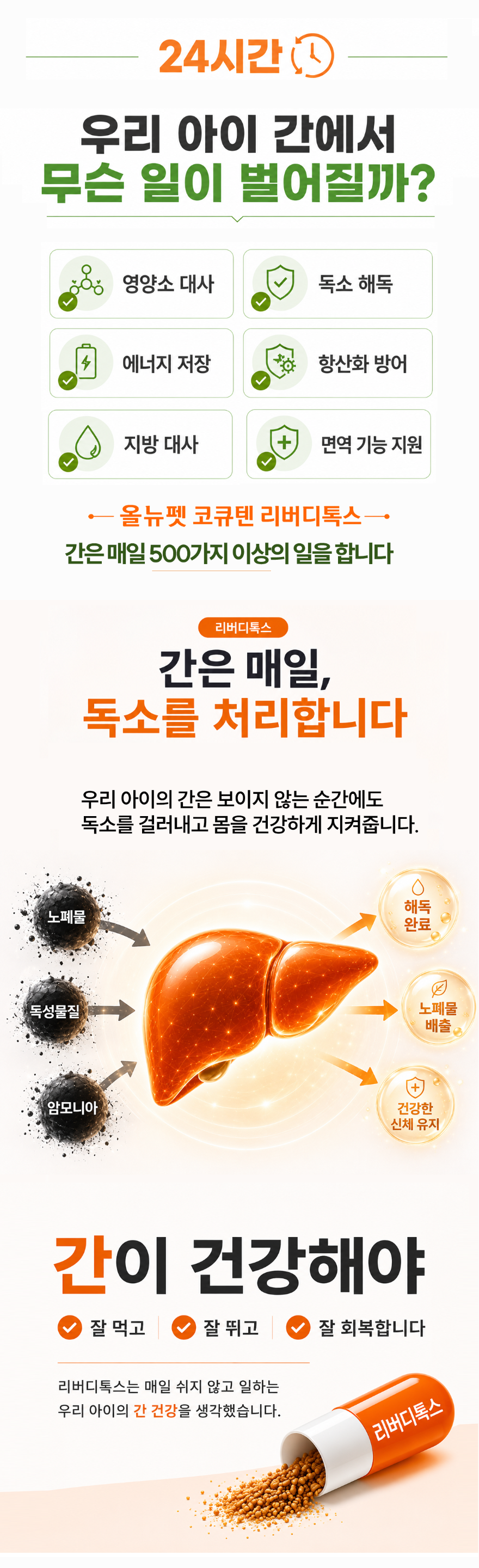 간영양제 대형견복사3.png