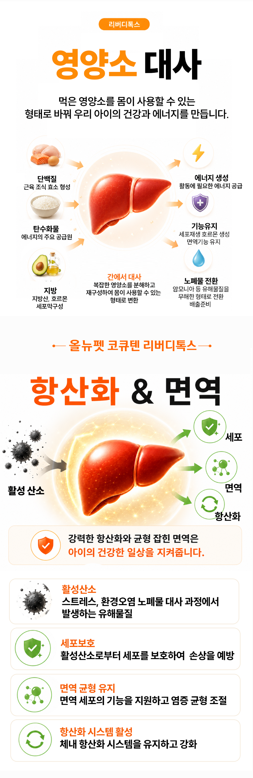 간영양제 대형견복사4.png