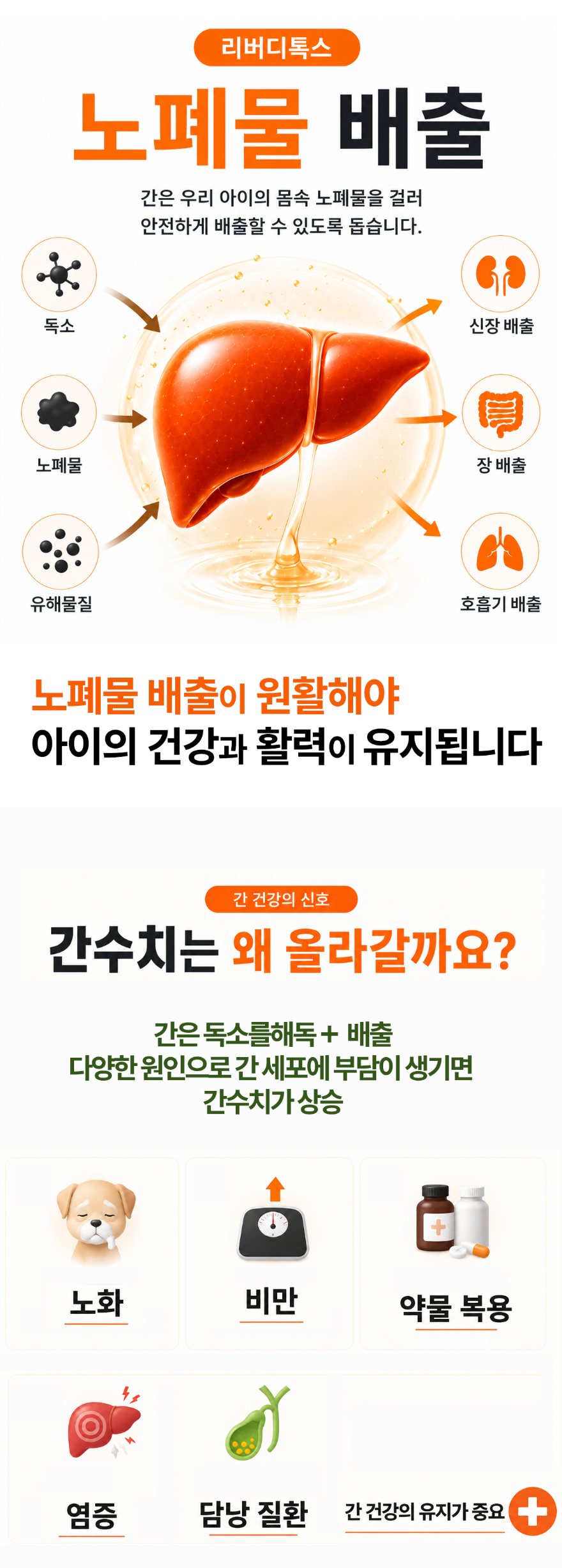 간영양제 대형견 복사5.png