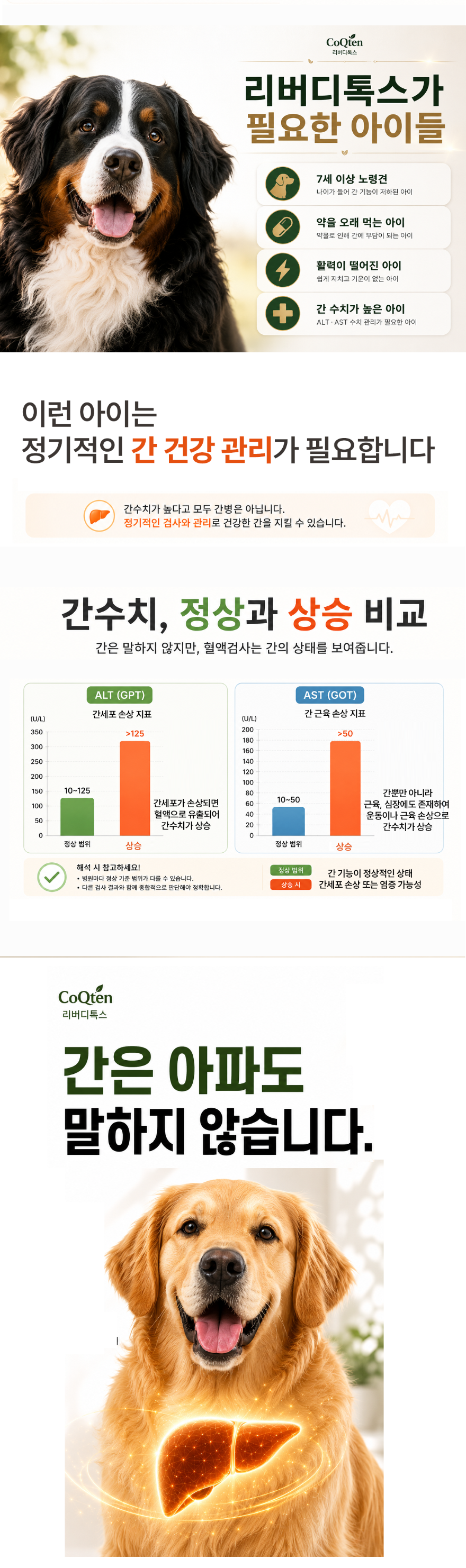 간영양제 대형견 6.png