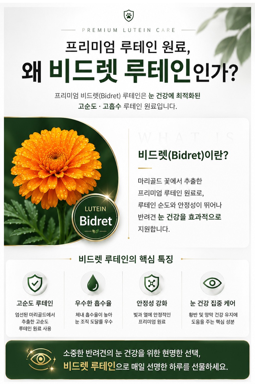 KakaoTalk_20260610_142537774 복사.jpg