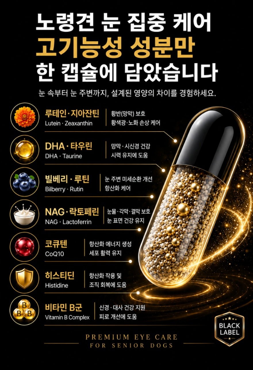 KakaoTalk_20260612_190405421.jpg