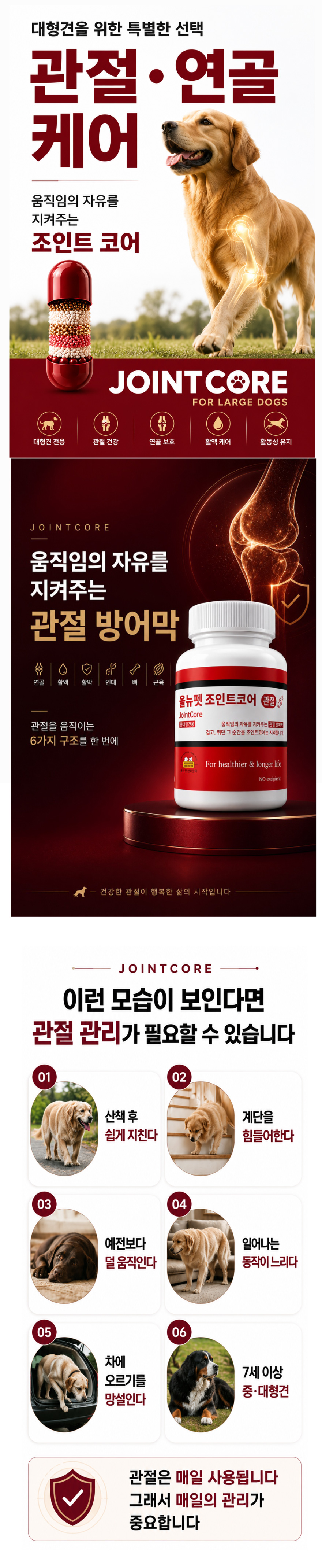 대형1.jpg