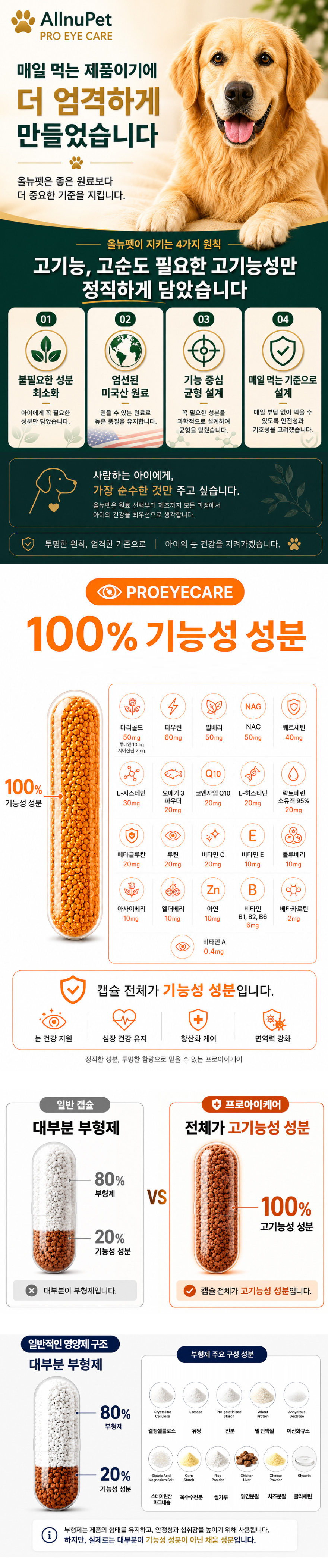 대형견수정1.jpg