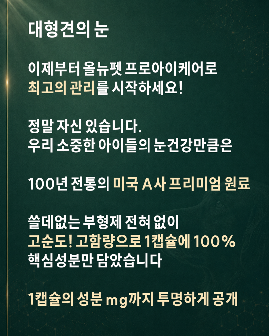 ChatGPT Image 2026년 7월 25일 오후 12_06_58 복사.png